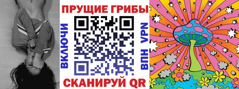 Галлюциногенные грибы GOLDEN TEACHER Новошахтинск